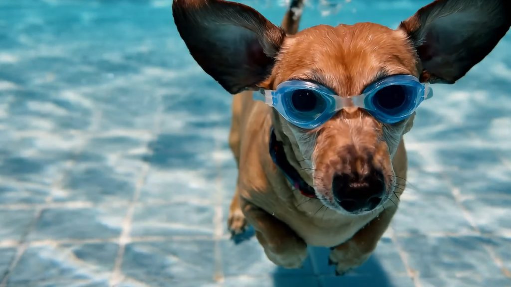 Google'ın Video Oluşturma Modeli Veo 2, Gemini'a Geldi