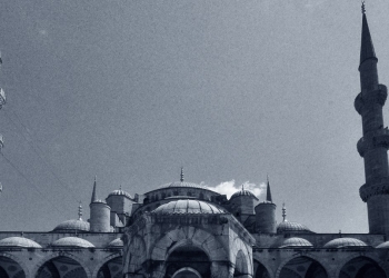 Camera Raw Perspektif Düzeltme