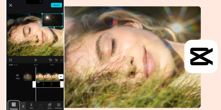 CapCut Pro Ücretsiz Kullanma Nasıl Yapılır?