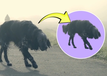 Video Arka Plan Kaldırma Nasıl Yapılır?