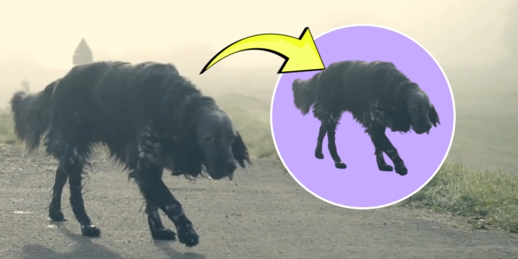 Video Arka Plan Kaldırma Nasıl Yapılır?