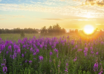 2053'e Kadar Sıfır Emisyon Hedefi Yasallaştı