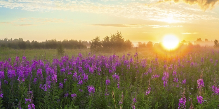 2053'e Kadar Sıfır Emisyon Hedefi Yasallaştı
