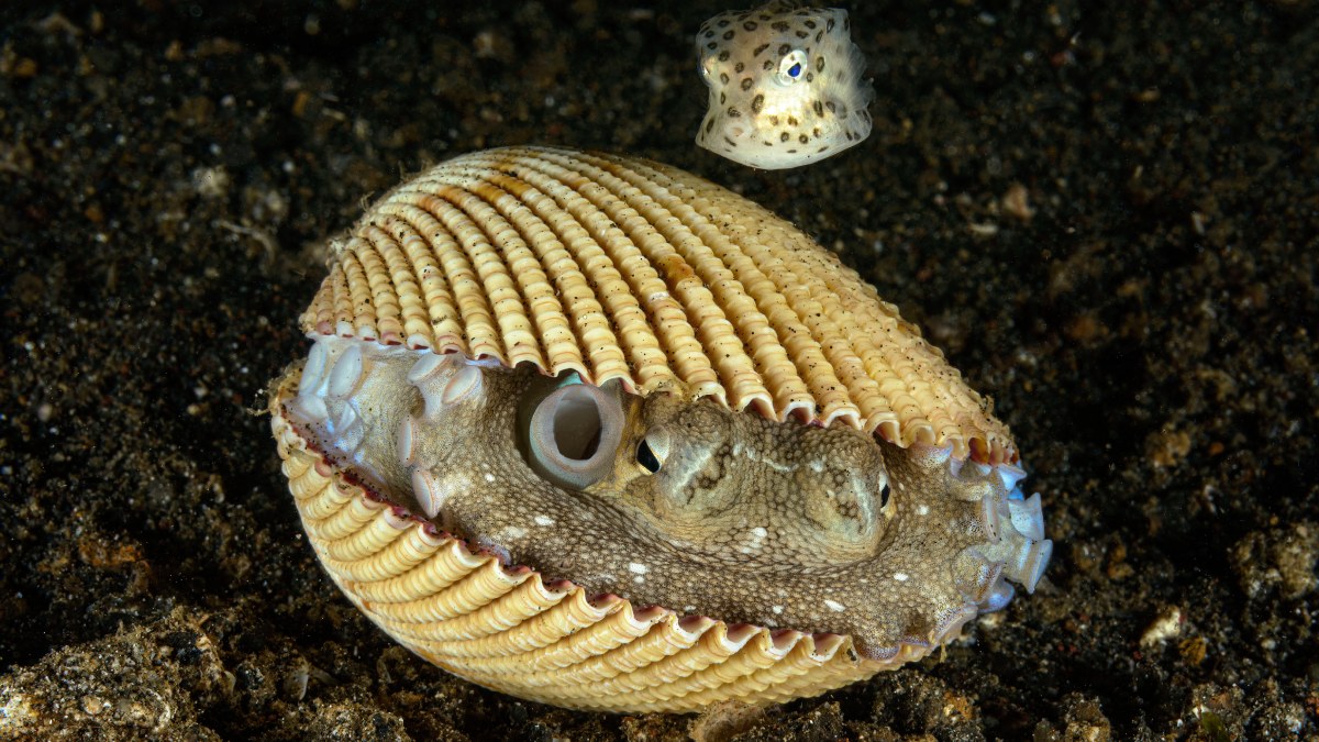 Çamurun İçindeki Güzellik-2