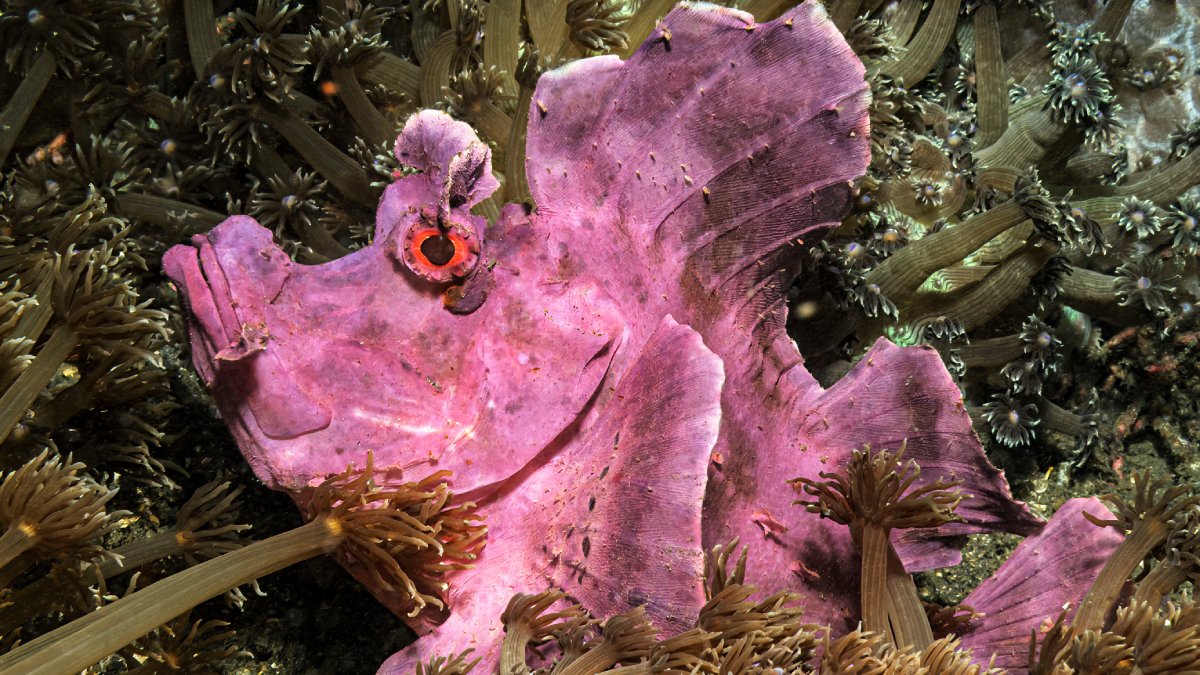 Çamurun İçindeki Güzellik-3