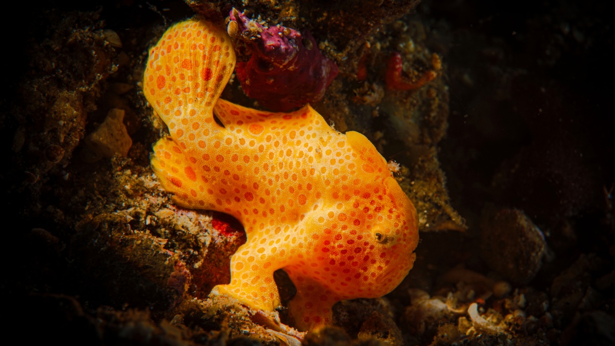 Çamurun İçindeki Güzellik-5