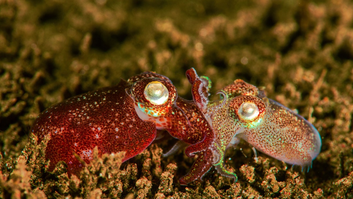 Çamurun İçindeki Güzellik-6