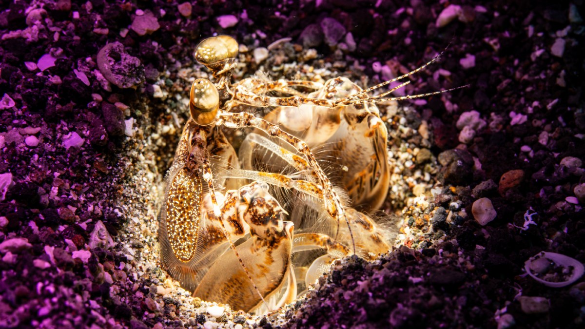 Çamurun İçindeki Güzellik-7