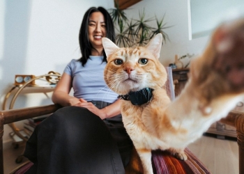 Fi Mini Tanıtıldı AirTag’den Bile Küçük GPS Takipçi 1