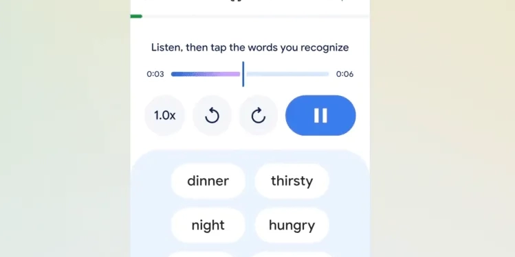 Google Translate Artık Dil Öğrenme Uygulamasına Dönüşüyor