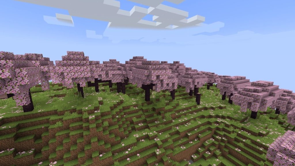 Minecraft Biyom Bulma Kodu Nedir?