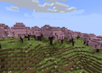 Minecraft Biyom Bulma Kodu Nedir?