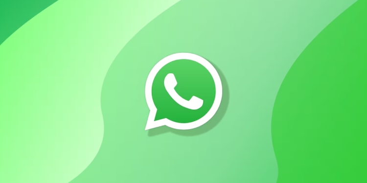 WhatsApp Kullanıcı Adı ile Arama Özelliği Alıyor