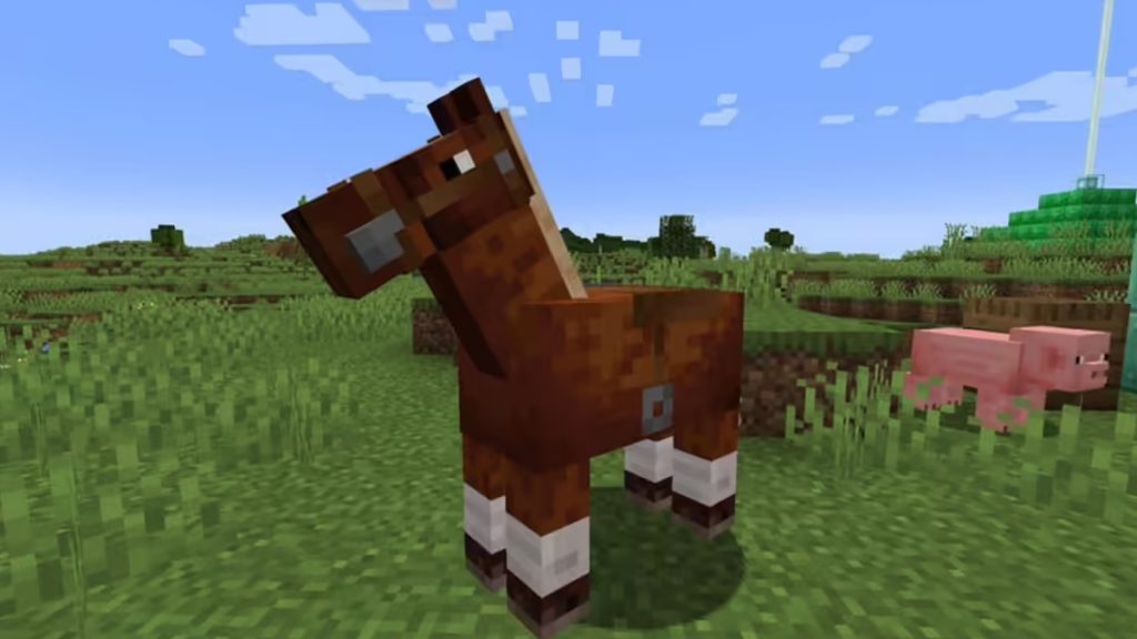 Minecraft At Ne Yer? (At Besleme Rehberi)