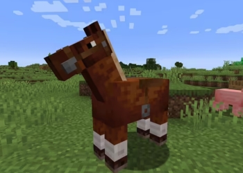 Minecraft At Ne Yer? (At Besleme Rehberi)