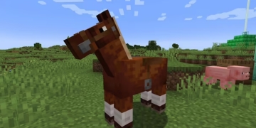 Minecraft At Ne Yer? (At Besleme Rehberi)