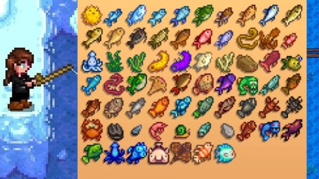 Stardew Valley Balıklar Nasıl Tutulur?