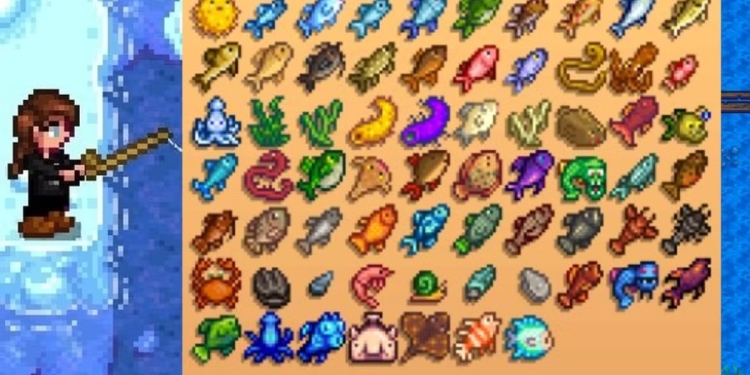 Stardew Valley Balıklar Nasıl Tutulur?
