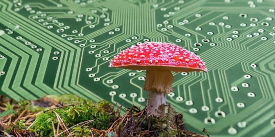 Bilim İnsanları Mantarlarla Çalışan Bilgisayar Geliştirdi