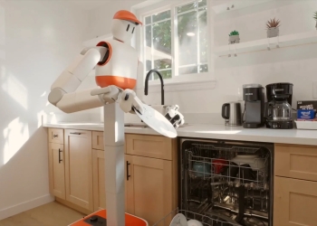 Memo Evinizdeki Tüm İşlere Talip