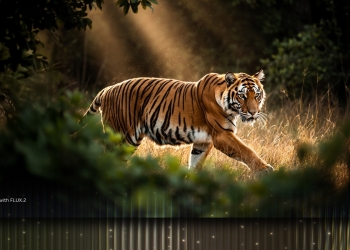 RTX GPU’lar İçin Optimize Edilmiş Yeni FLUX.2 Tanıtıldı