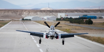 Pervaneleri Serbest Bırakın, Özgürce Dönsünler