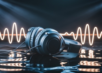 ANC Nedir? Ne İşe Yarar?