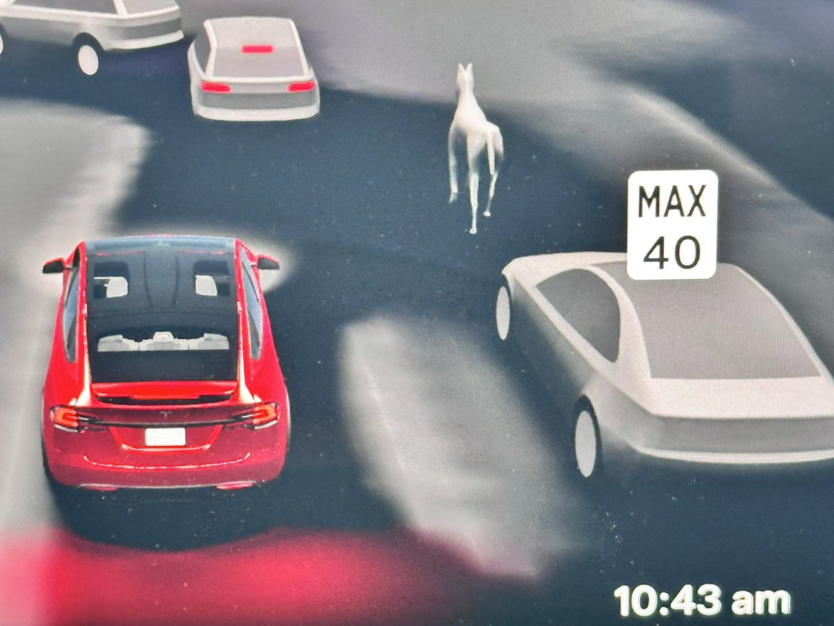 Tesla FSD Artık Atları Da Gösteriyor