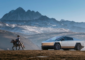 Tesla FSD Artık Atları Da Gösteriyor