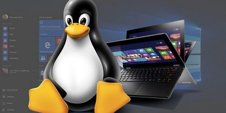Linux Windows’taki Önemli Özelliğe Nihayet Kavuştu
