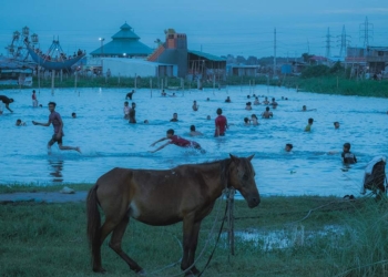 Sony Dünya Fotoğrafçılık Ödülleri 2026: Genel Kazananlar Açıklandı