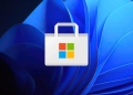 Microsoft Store İnternet Bağlantısı Yok Hatası Nasıl Çözülür?