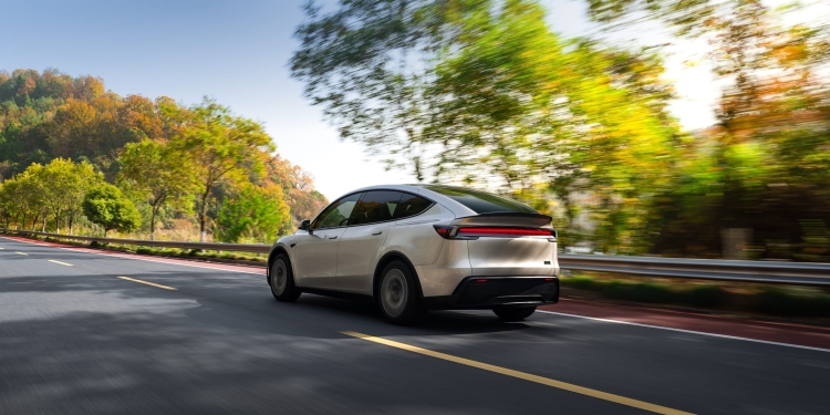 Tesla Model Y L