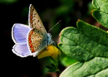 Derinlik: Fotoğrafta Anlam ve Anlatı